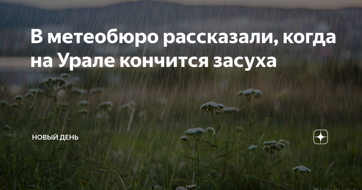 В метеобюро рассказали, когда на Урале кончится засуха | Новый День | Дзен