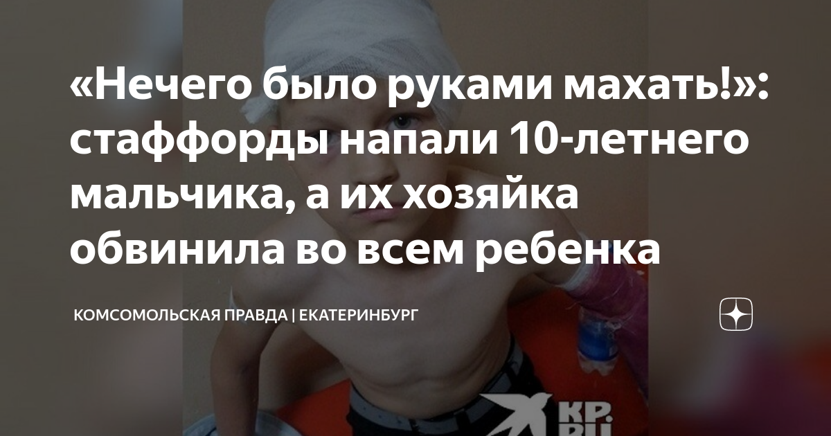 «Нечего было руками махать!»: стаффорды напали 10-летнего мальчика, а ...