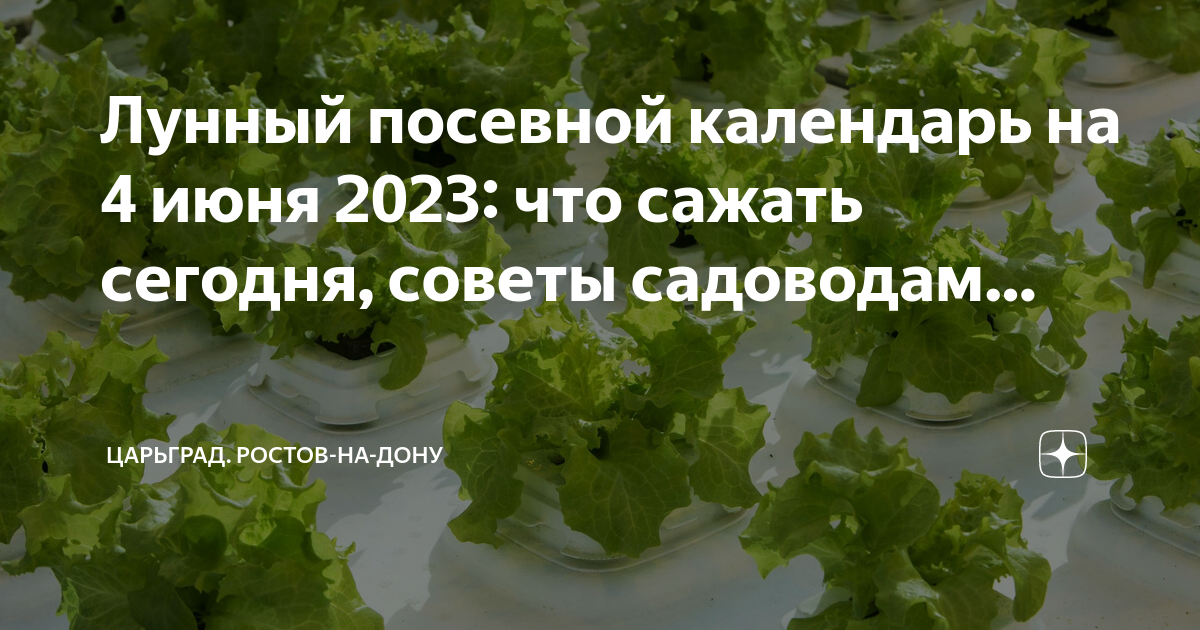 Посадки сегодня и завтра. Посевной календарь на июнь 2023. Посевной календарь на июнь 2023 для огородников. Лунный посевной календарь на июнь 2023. Лунный календарь садовода на июнь 2023.