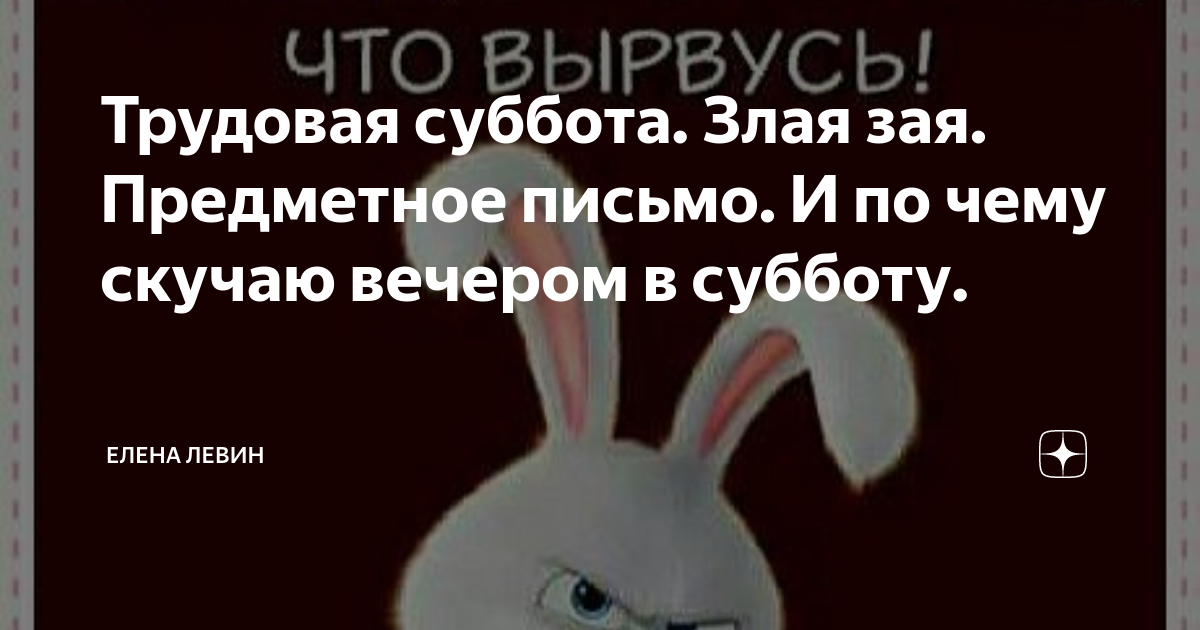 Злая от того знаю зая а. Захватить мир. додумывают остатком мозга. брейн что мы будем делать сегодня вечером. злая зая с морковкой.
