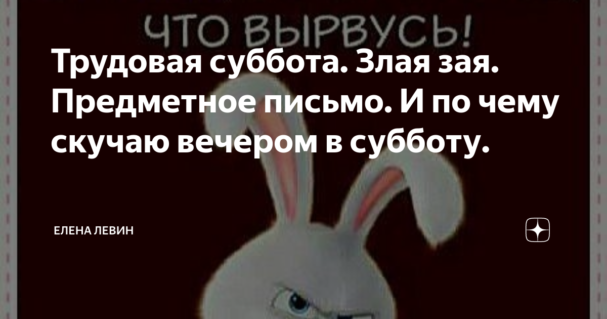 Моя злая зая. Захватить мир. Додумывают остатком мозга. Брейн что мы будем делать сегодня вечером. Злая зая с морковкой.