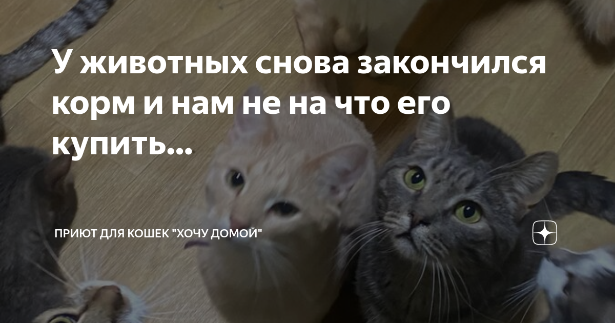 Когда в телефоне кончилась память. Ура опять в школу. Опять на работу картинки. Абонент прикол. Абонентвременноне доступин.