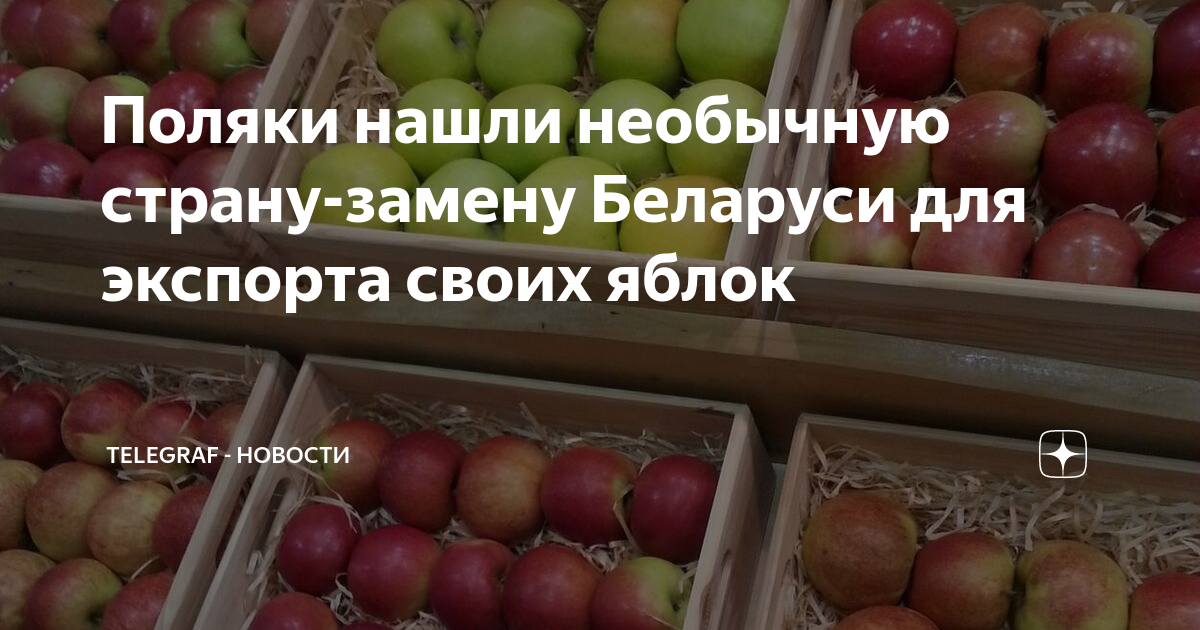Поляки нашли необычную страну-замену Беларуси для экспорта своих яблок ...