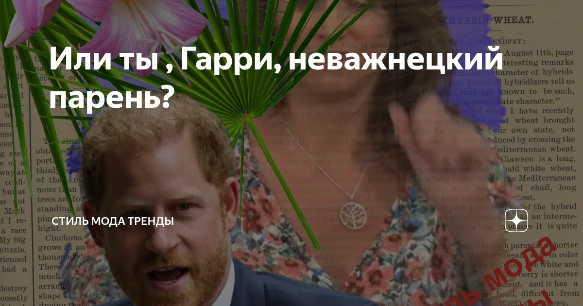 объясните смысл высказывания п генри я не виргинец