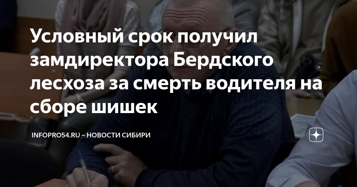 Почему водитель всегда виноват