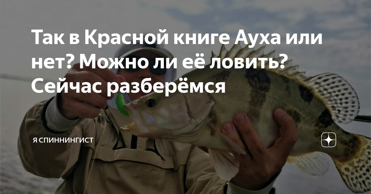 Рыбалка с Романом Байковым и Алексеем Тарасевским. Ауха, верхогляд, желтощек, мо