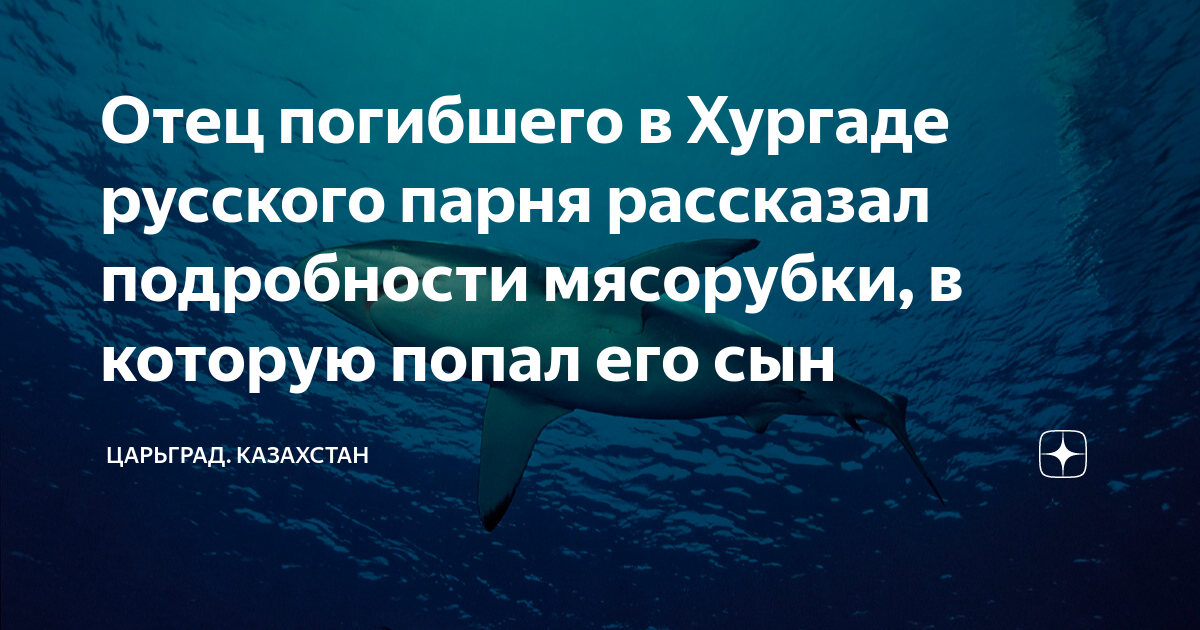 Релокант 1. Релокант / ascold Flow (1). Акула утащила человека. Человеческие останки в акуле.