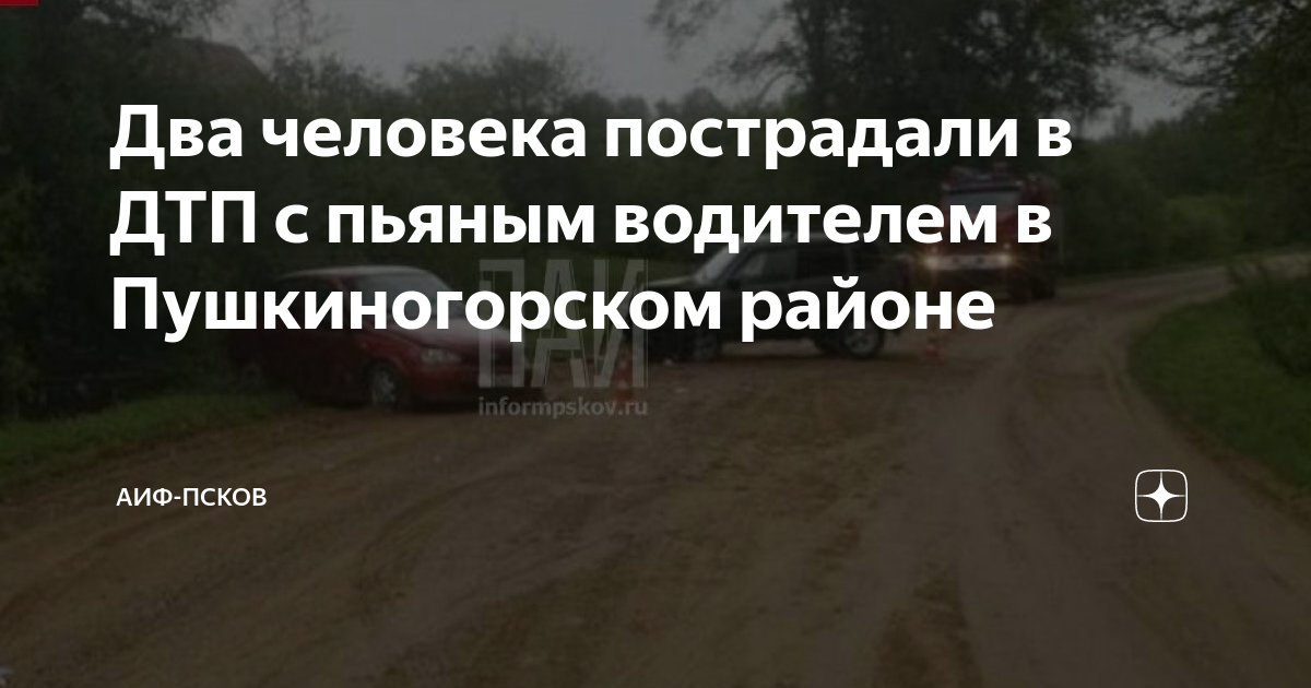 Виды пострадавших в дтп