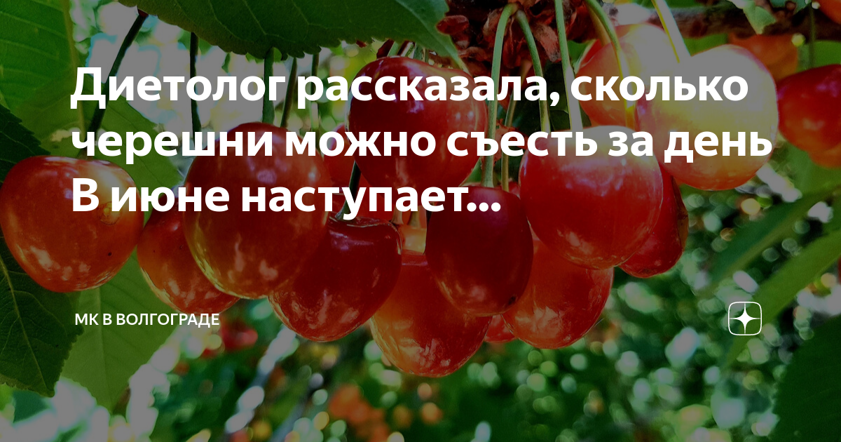 Сколько черешни можно съедать в день. Июнь черешня. Сколько черешни в день. Сколько железа в черешне.