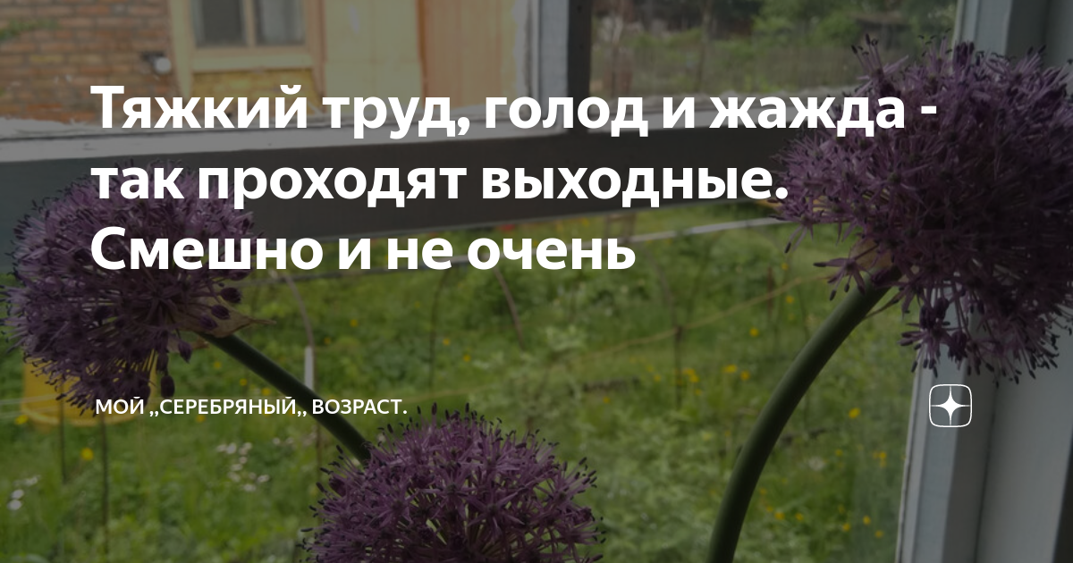 Тяжкий труд, голод и жажда - так проходят выходные. Смешно и не очень ...