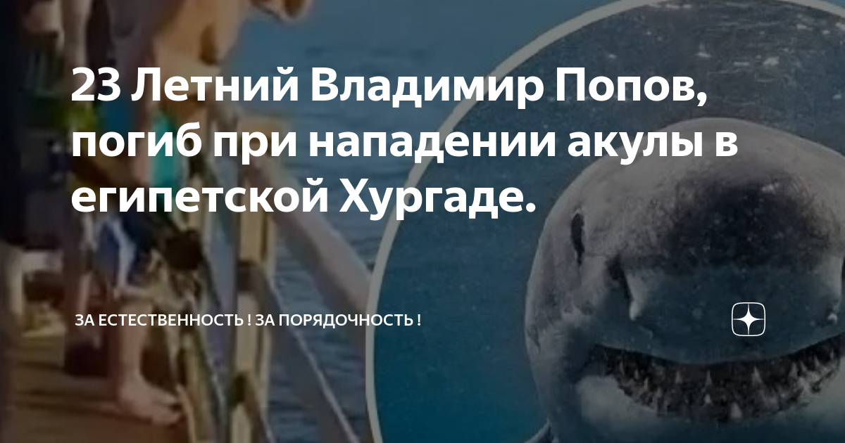 О случившемся в египте