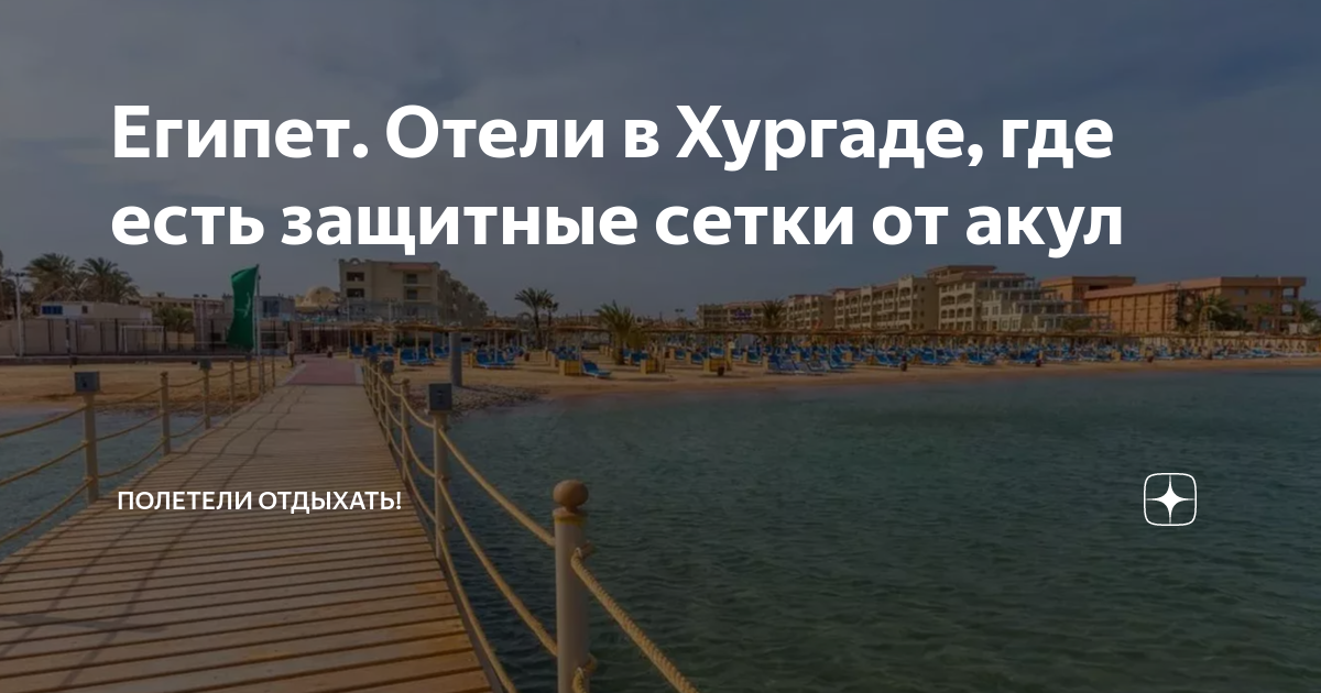 Хургада сетка от акул. Где безопасный отдых в Египте.