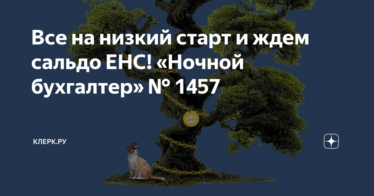 Все на низкий старт и ждем сальдо ЕНС! «Ночной бухгалтер» № 1457 ...