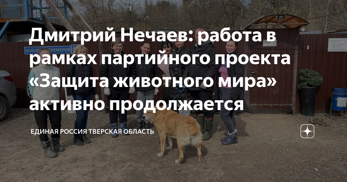 В России для чиновников хотят ввести уголовную ответственность за нападение безд