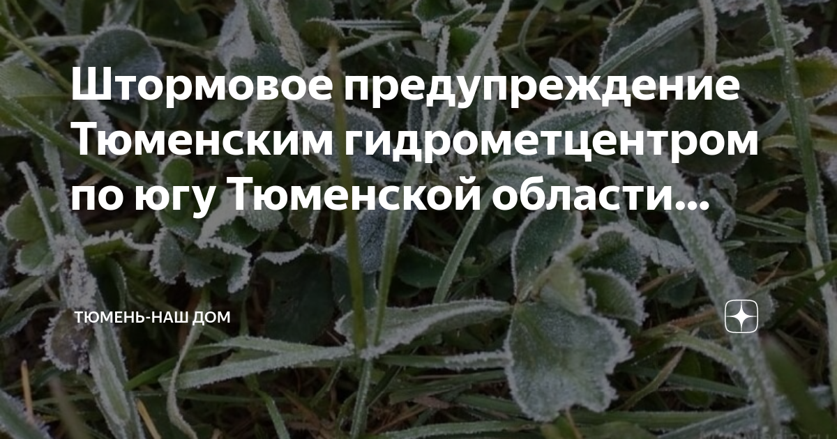 Гидрометцентр карта предупреждений