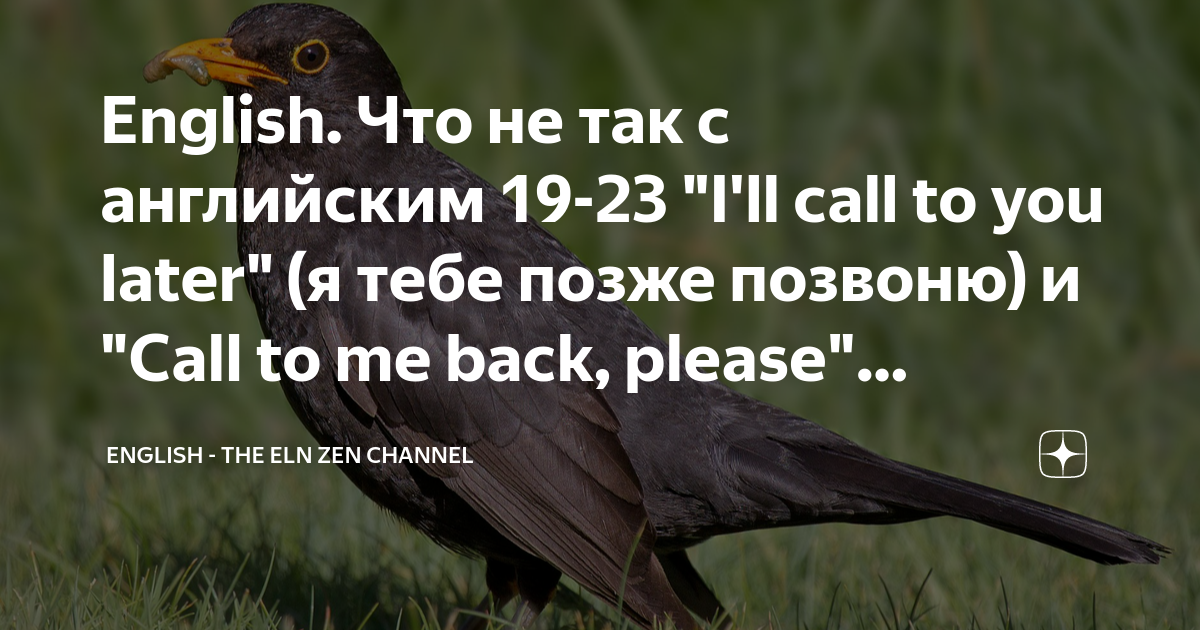 Фразовый глагол get worksheets. Фразовый глагол call. Call up фразовый глагол. Call i back could you later. Предложения с фразовым глаголом call.