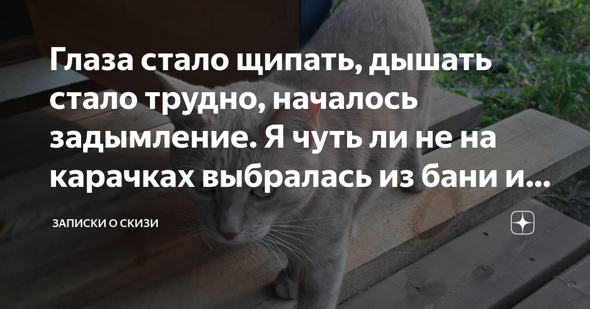Глаза стало щипать, дышать стало трудно, началось задымление. Я чуть ли ...