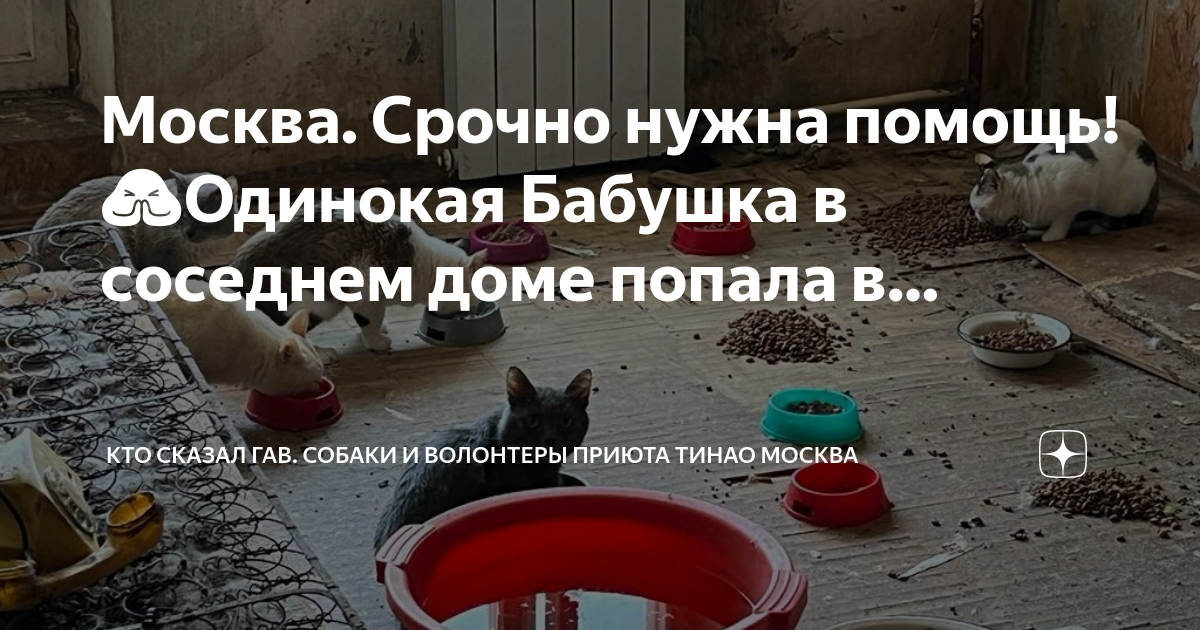 Когда в доме одиноко презентация