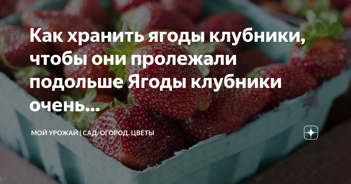 Сколько хранят ягоды. Можно ли ягоды хранить в холодильнике. Калории огородных ягод. Как долго можно хранить ягоды. Сколько может храниться клубника в холодильнике.