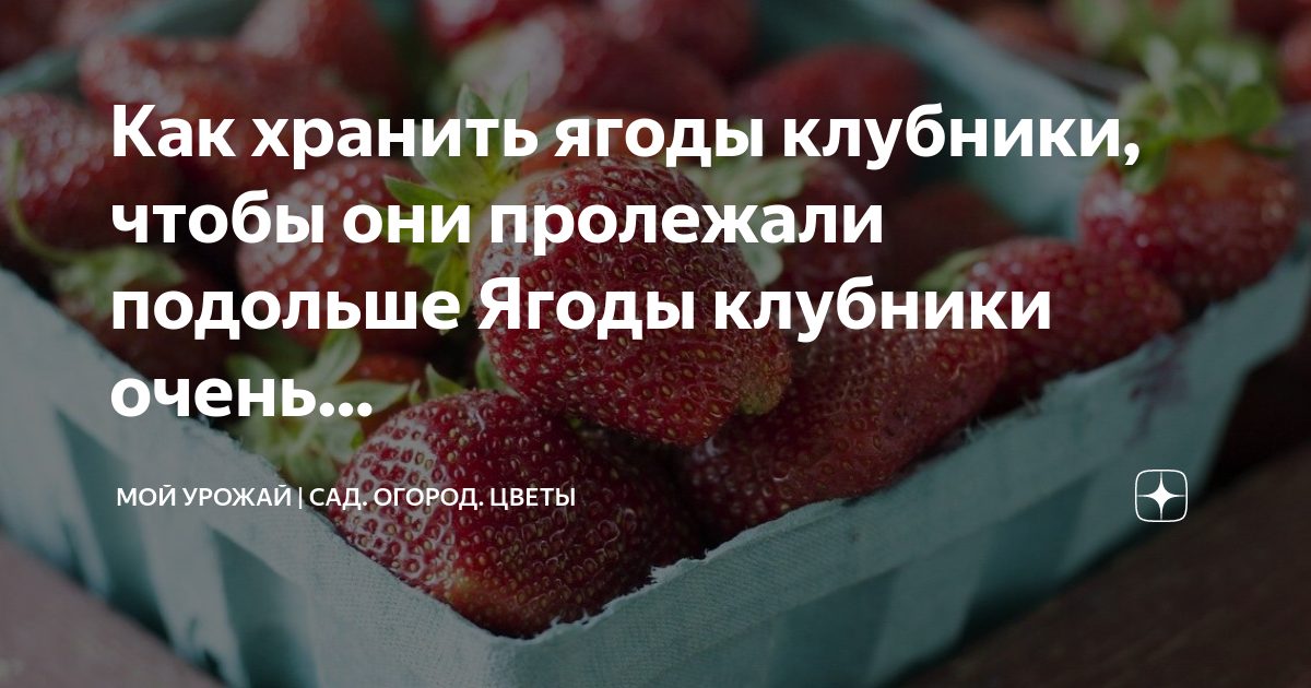 Где хранить клубнику после покупки свежую. Можно ли ягоды хранить в холодильнике. Сколько может храниться клубника в холодильнике. Как сохранить клубнику в свежем виде в холодильнике неделю. Сколько может лежать клубника в холодильнике.