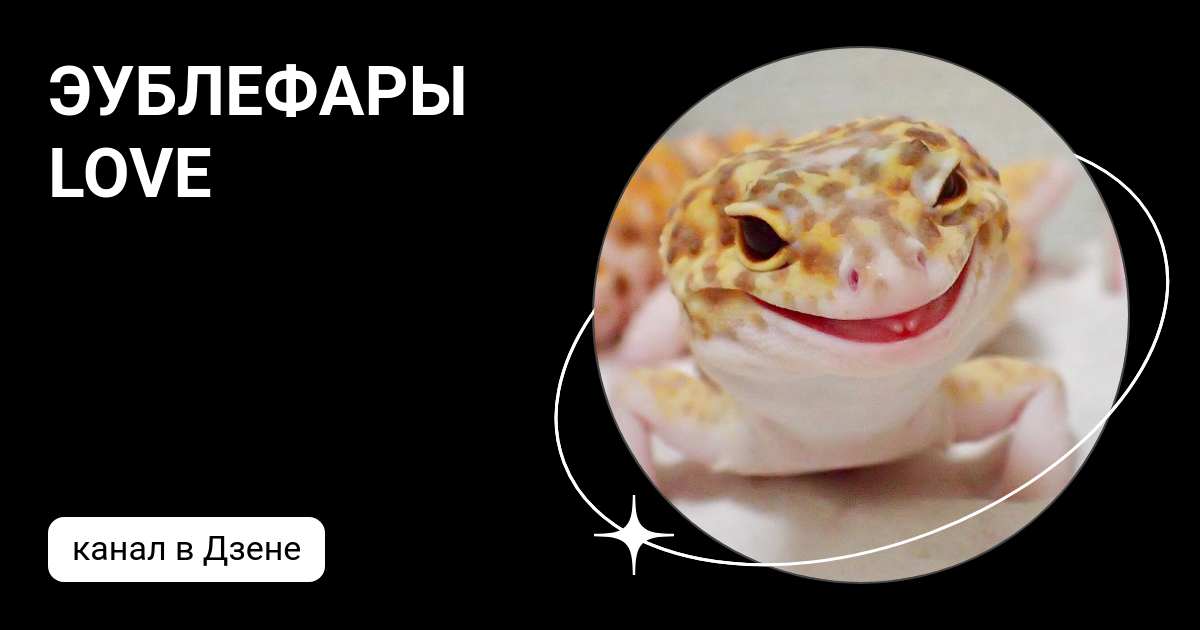 синдром энигмы у эублефаров