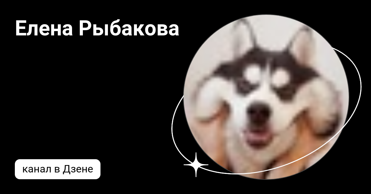 Елена Рыбакова | Дзен