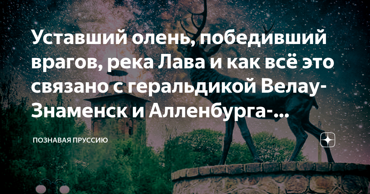 победивший олень. победивший олень. самка оленя с рогами. марал олениха. рога оленя на голову.