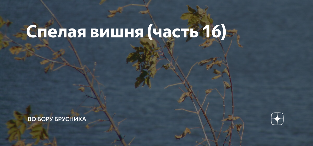 Брусника дзен. Во Бору брусника дзен. Спелая вишня во Бору брусника. Спелая вишня часть 18 во Бору брусника.