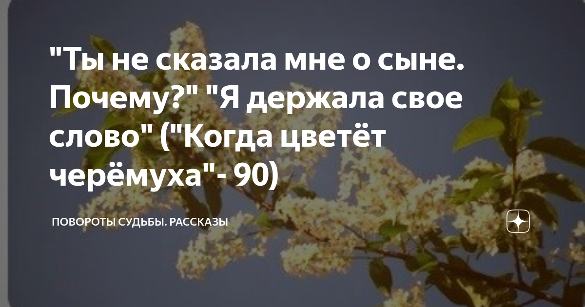 Повороты судьбы рассказы дзен читать. Повороты судьбы рассказы дзен читать