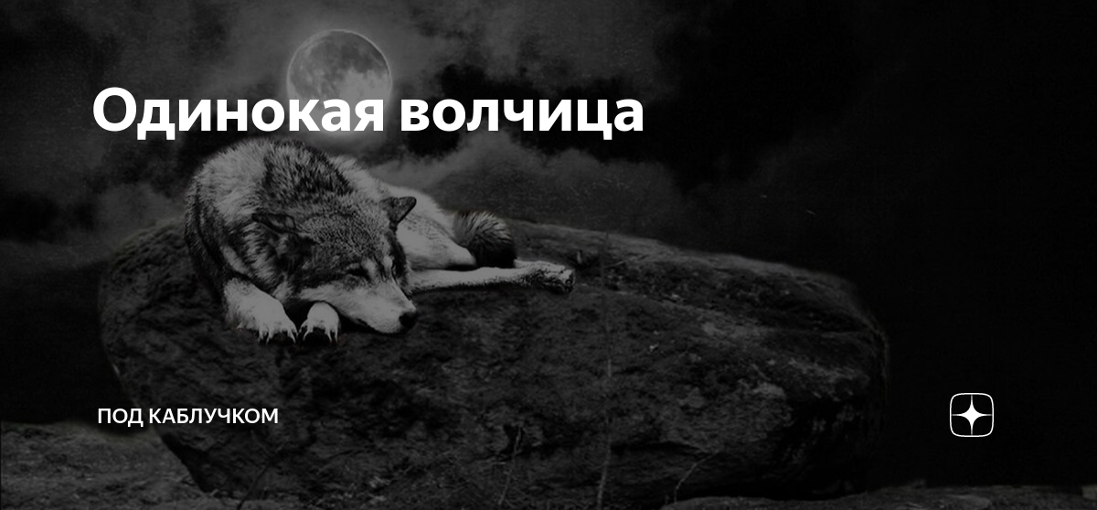 Одинокая волчица читать. Одинокая волчица дзен. Больно я одинок.