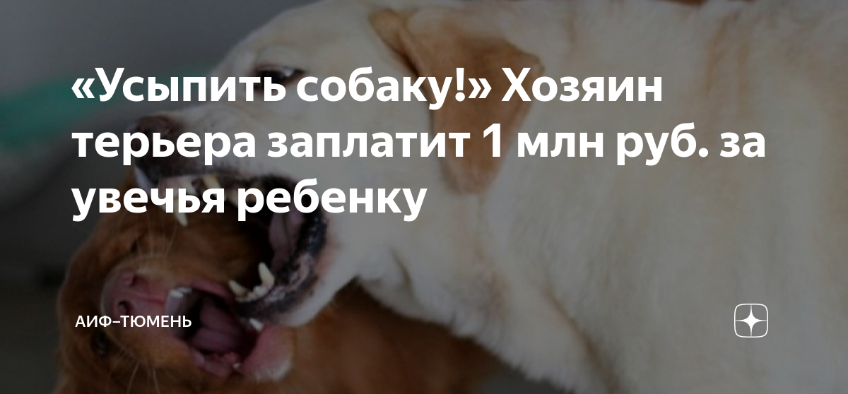 «Усыпить собаку!» Хозяин терьера заплатит 1 млн руб. за увечья ребенку ...