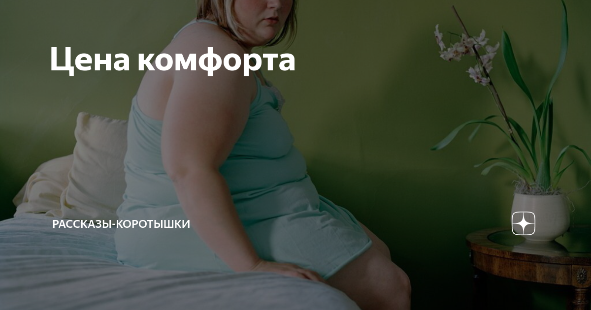 Цена комфорта | Рассказы-коротышки | Дзен