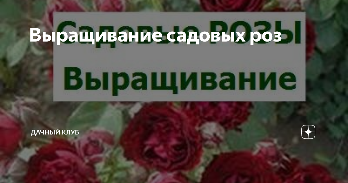 Обои МОФ арт виниловые горячего тиснение на флизелиновой основе 1,06*м Сфера декор