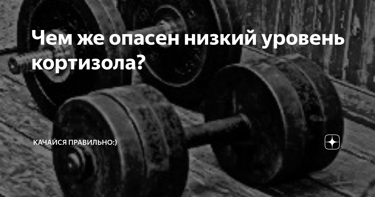 Чем же опасен низкий уровень кортизола? | Качайся правильно:) | Дзен