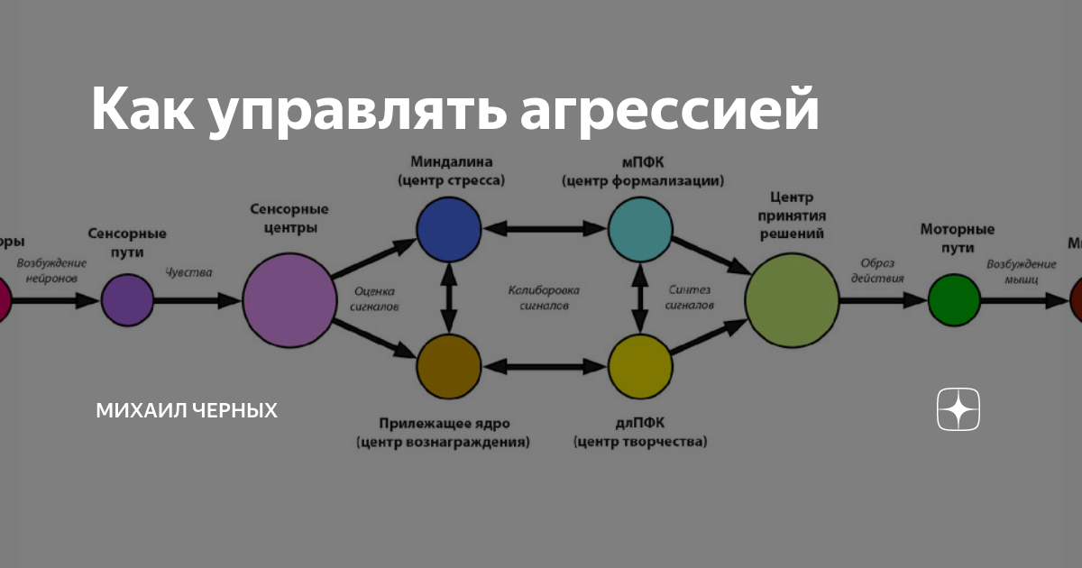 Способы справиться с агрессией. Как контролировать гнев. Как контролировать свои эмоции. Как научиться сдерживать эмоции. Способы избавления от негативных эмоций.
