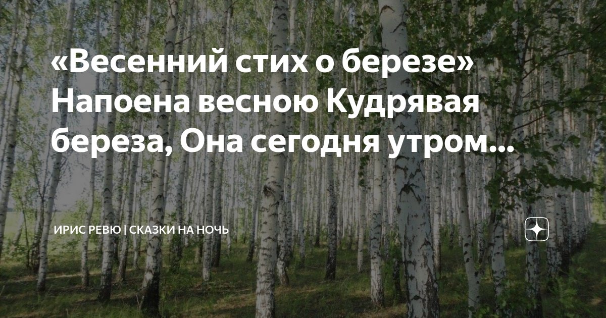 Стихатварение про берёзу. Березонька моя белая береза кудрявая. Стихи о березе русские народные. Берёза моя берёзонька берёза моя белая берёза. Березонька моя белая береза кудрявая.