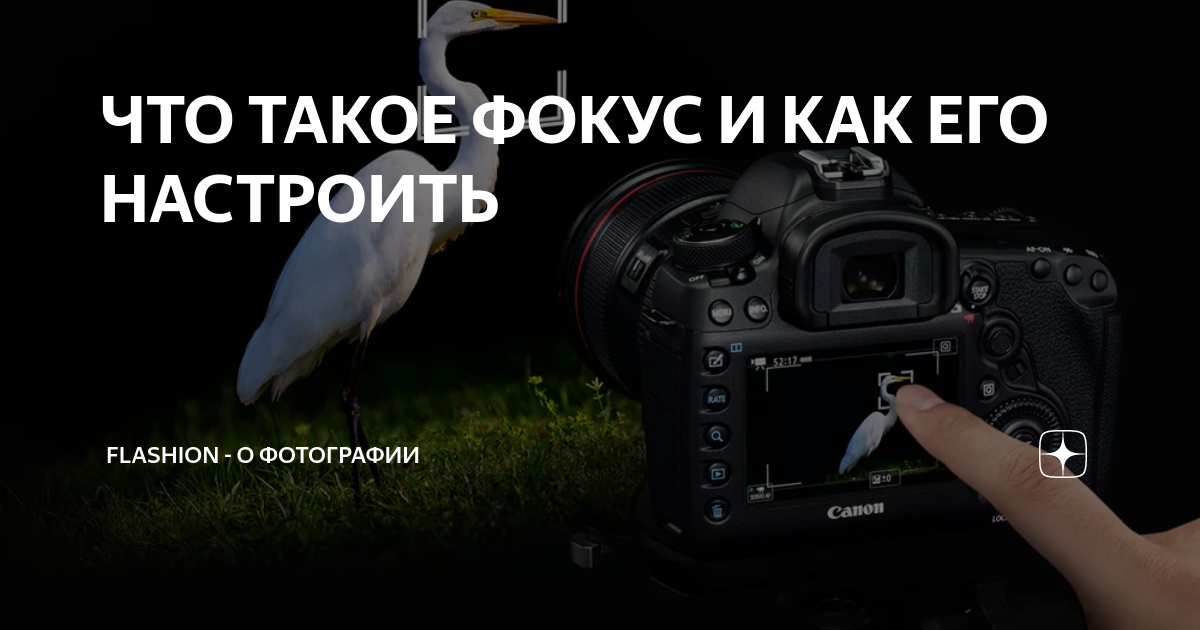 ЧТО ТАКОЕ ФОКУС И КАК ЕГО НАСТРОИТЬ | FLASHION - О ФОТОГРАФИИ | Дзен