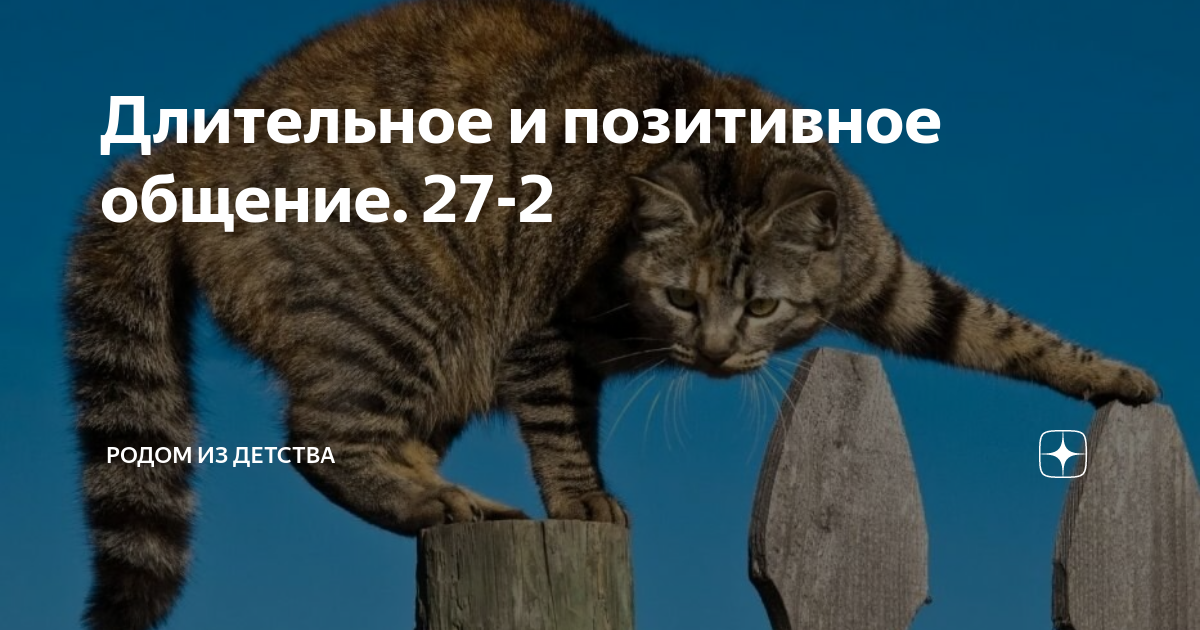 Длительное и позитивное общение. 27-2 | Родом из детства | Дзен