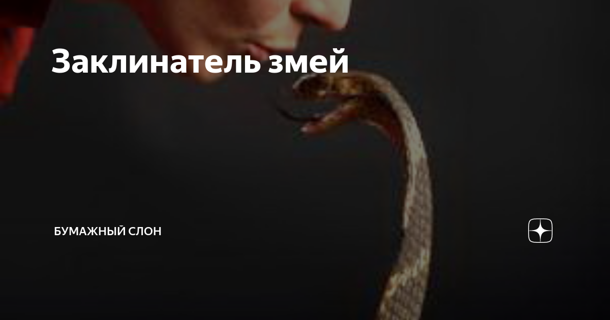 Заклинатель змей | Бумажный Слон | Дзен