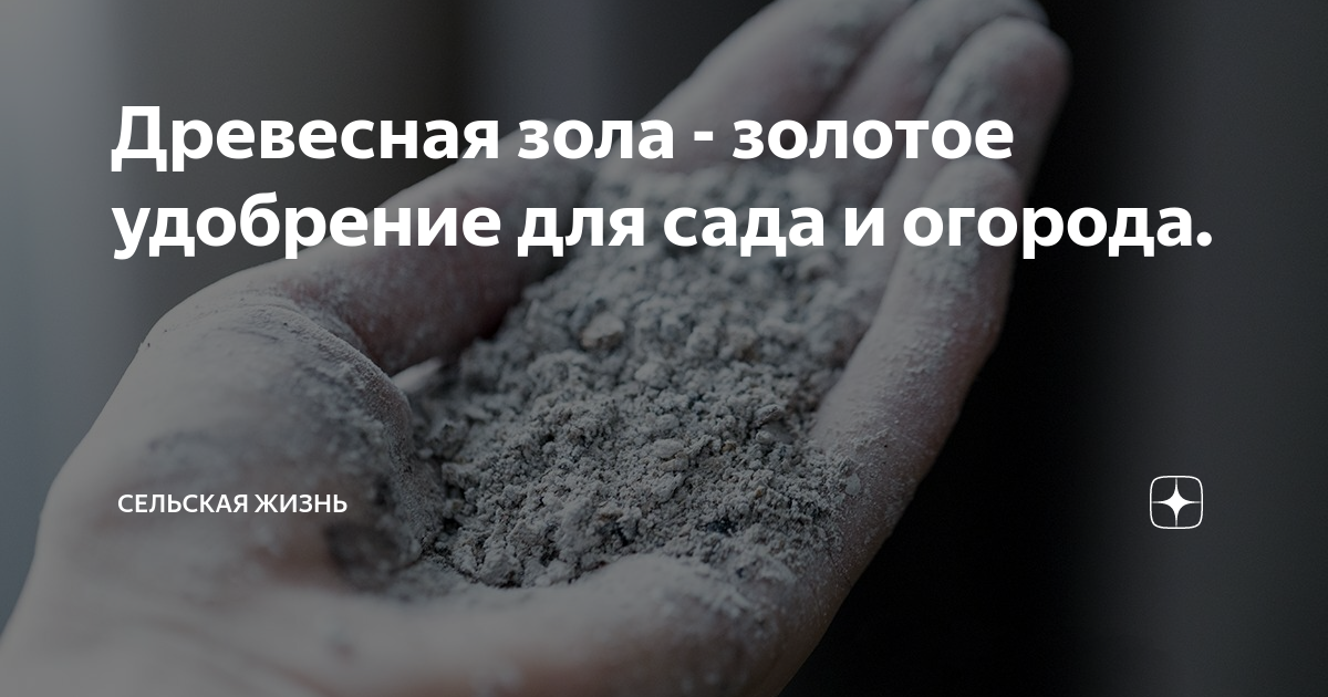 Древесная зола - золотое удобрение для сада и огорода. | Сельская Жизнь ...