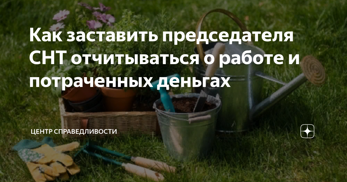 Как заставить председателя СНТ отчитываться о работе и потраченных ...