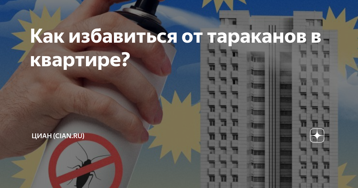 как избавиться от клопов и тараканов в квартире
