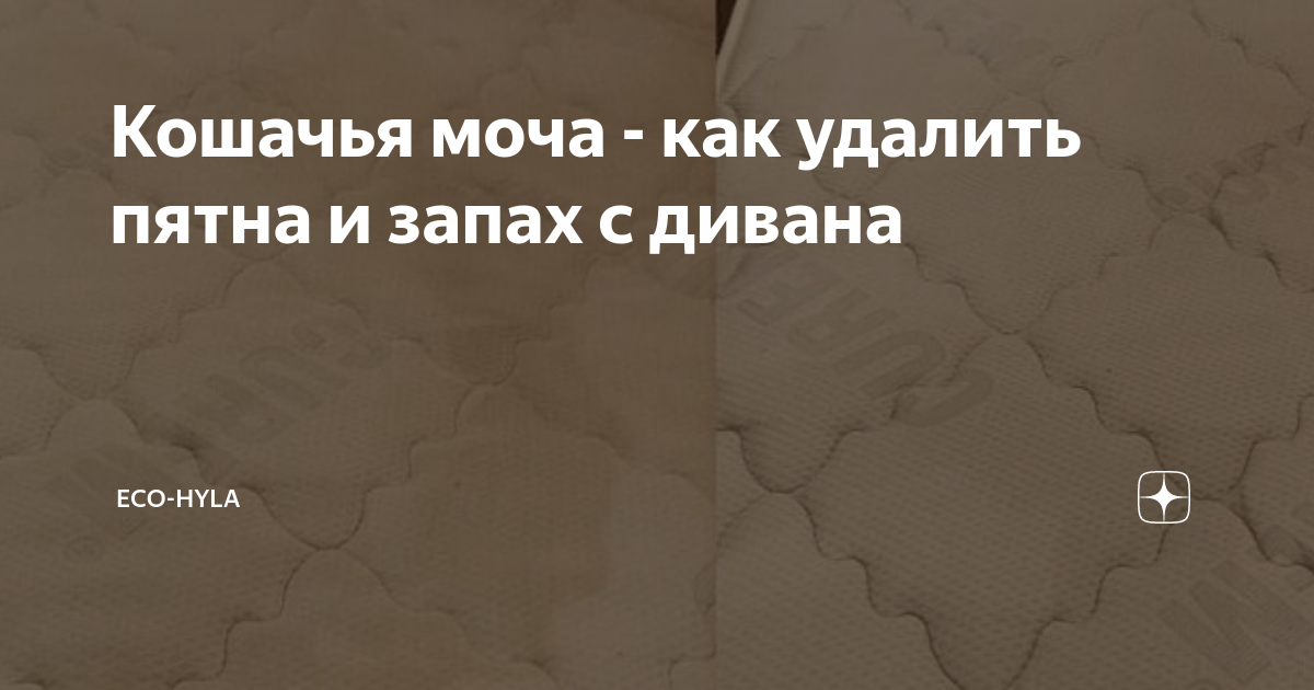 У кошки сильно пахнет моча. Воняет мочой на диване. Пахнет кошачьей мочой. Чай который пахнет кошачьей мочой. Вино которое пахнет кошачьей мочой.