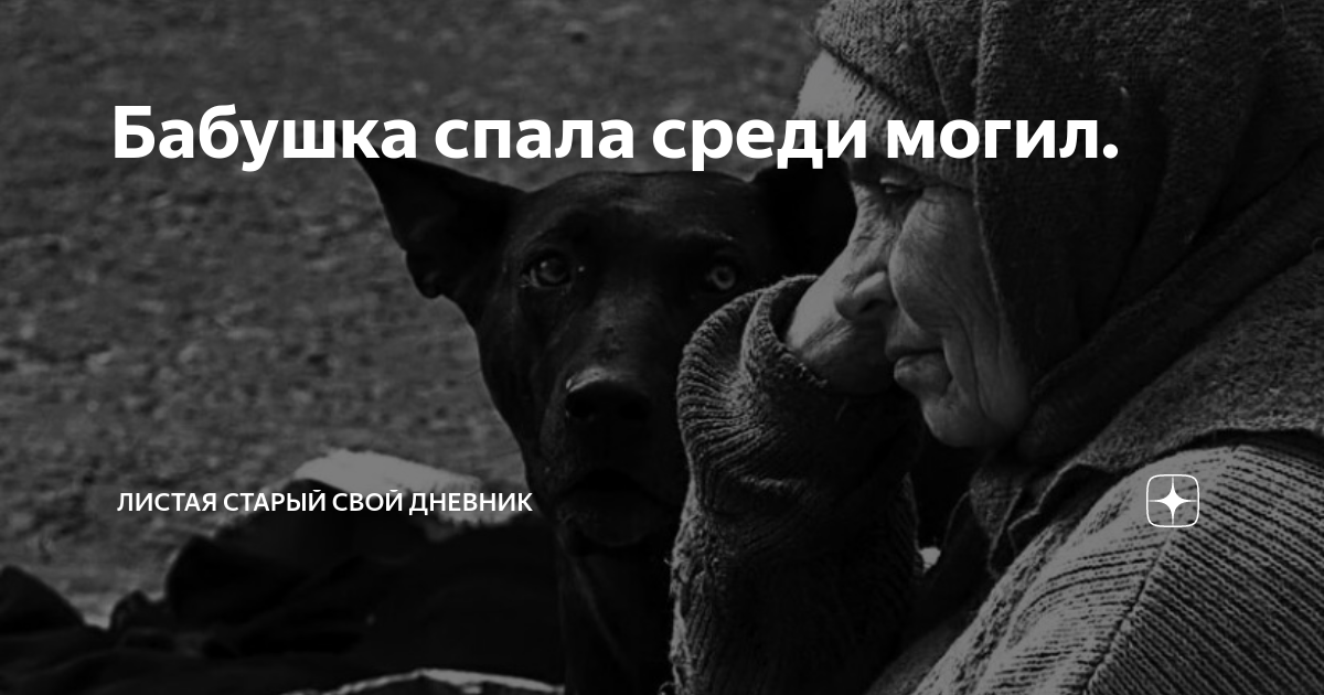 пес трезорка блокада ленинграда. блокадный пес трезорка. пес трезор в блокадном ленинграде. блокада ленинграда собаки. пес трезор в блокадном ленинграде.