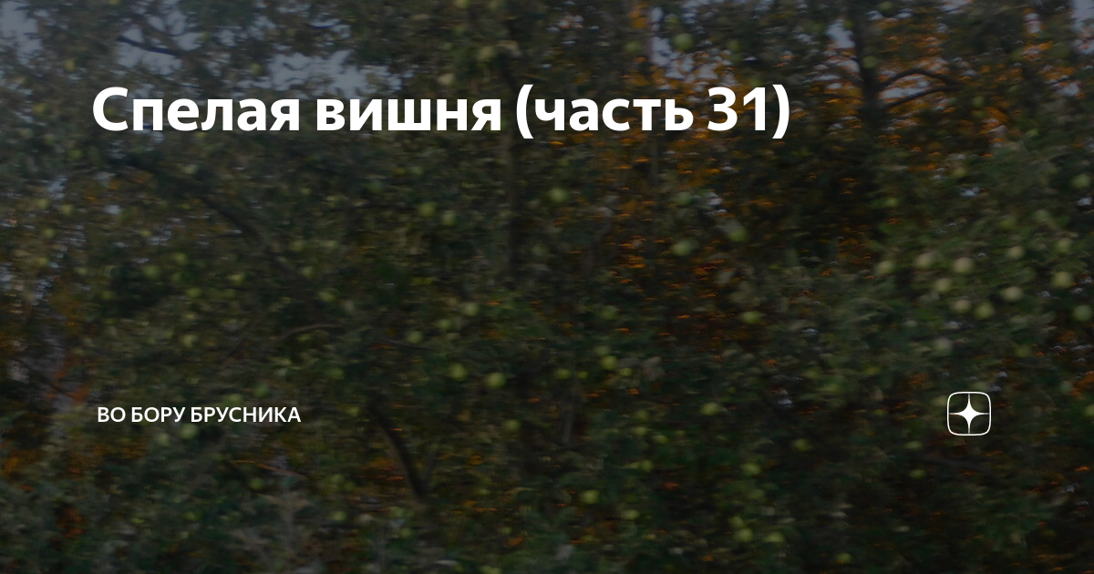 Осколки души во бору 45. Во Бору брусника дзен.