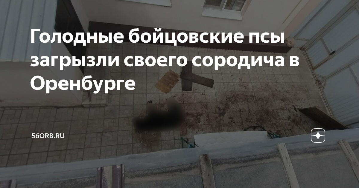Око оренбуржья телеграмм