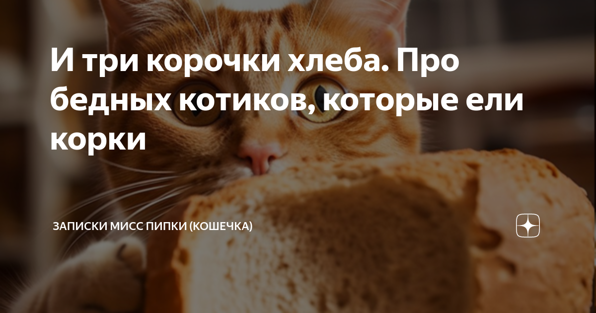 И три корочки хлеба. Про бедных котиков, которые ели корки | Записки ...