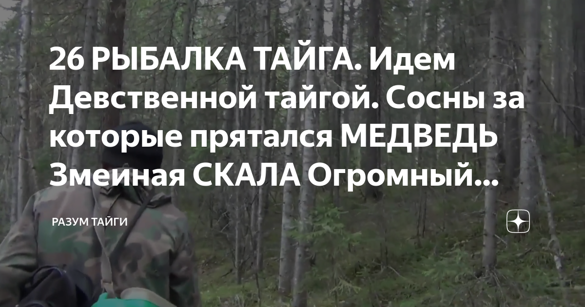Таежники сибирские охотники. Выживание в тайге. Заревел медведь сосна. Лесник в тайге. Человек в лесу.