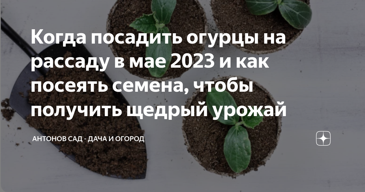 Май посадка огурцов благоприятные. Когда сажать огурцы в 2023 году. Когда сажать огурцы на рассаду в 2023 году. Удачные дни для посадки огурцов в мае. Когда садить огурцы на рассаду в 2023.