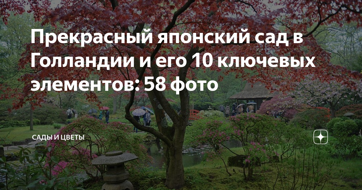 Прекрасный японский сад в Голландии и его 10 ключевых элементов: 58 ...